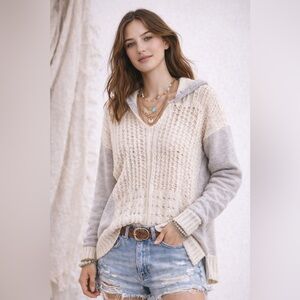 Vintage Havana Cream and Gray V-Neck Sweater